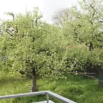 Im Obstgarten Achberg