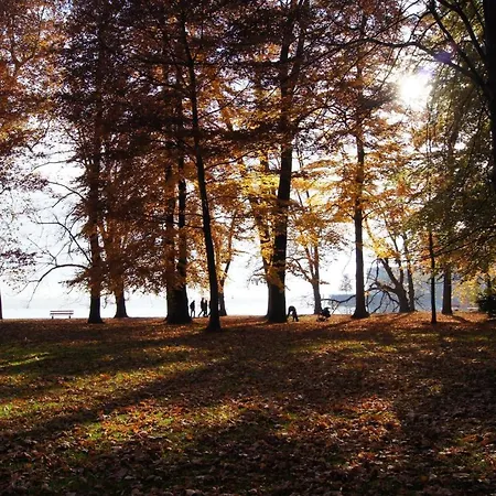 Im Obstgarten Achberg