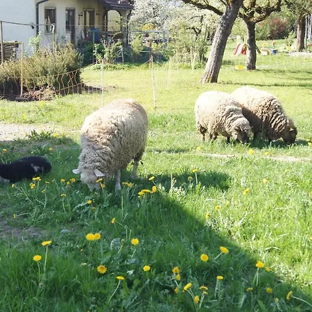 Im Obstgarten Achberg