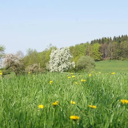 公寓 Im Obstgarten