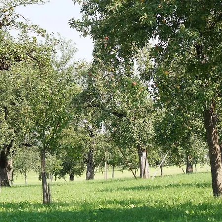 Apartment Im Obstgarten