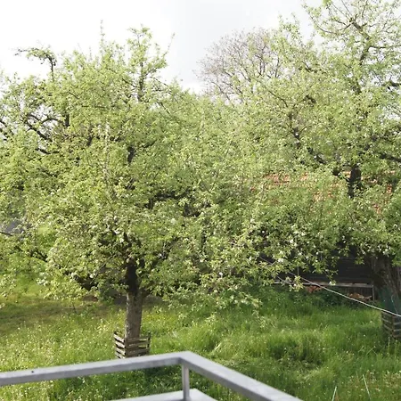 Im Obstgarten Achberg