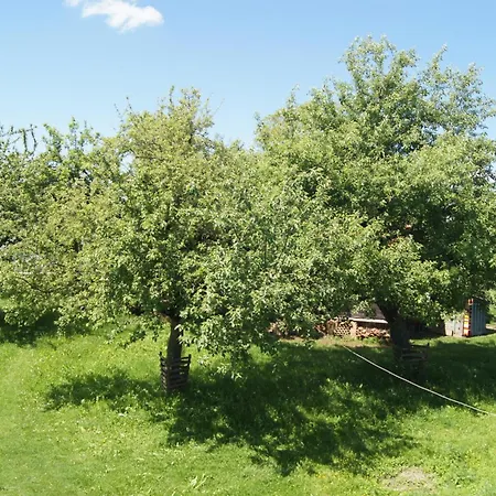 아파트 Im Obstgarten