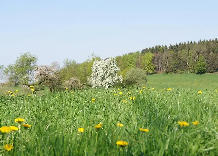 Apartamento Im Obstgarten