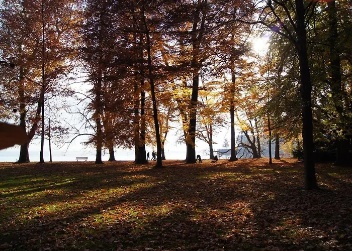 Im Obstgarten Achberg