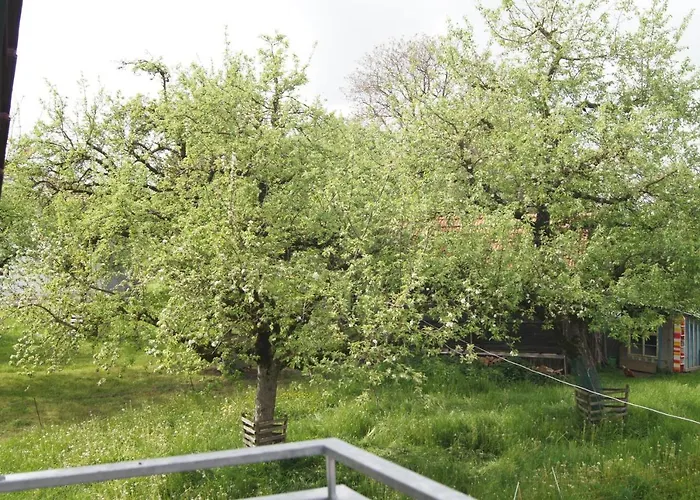 Im Obstgarten Achberg