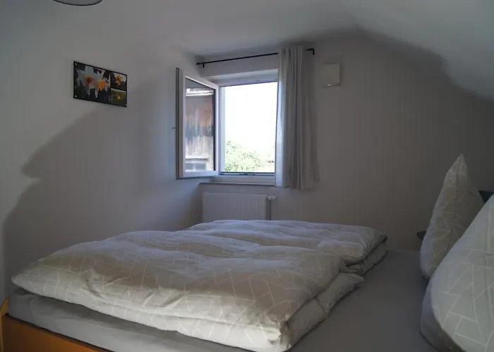 Im Obstgarten Achberg