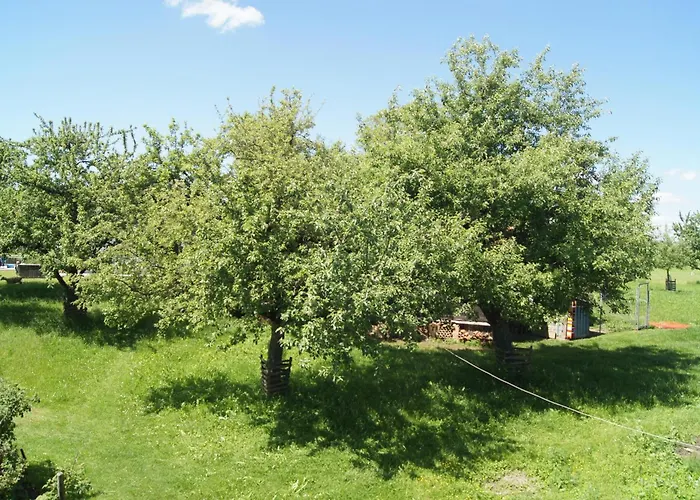Apartamento Im Obstgarten